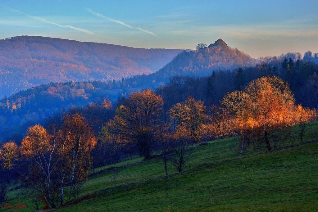 Apartment Tour Bohemian Switzerland Horni Podluzi Екстер'єр фото